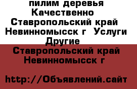 пилим деревья Качественно - Ставропольский край, Невинномысск г. Услуги » Другие   . Ставропольский край,Невинномысск г.